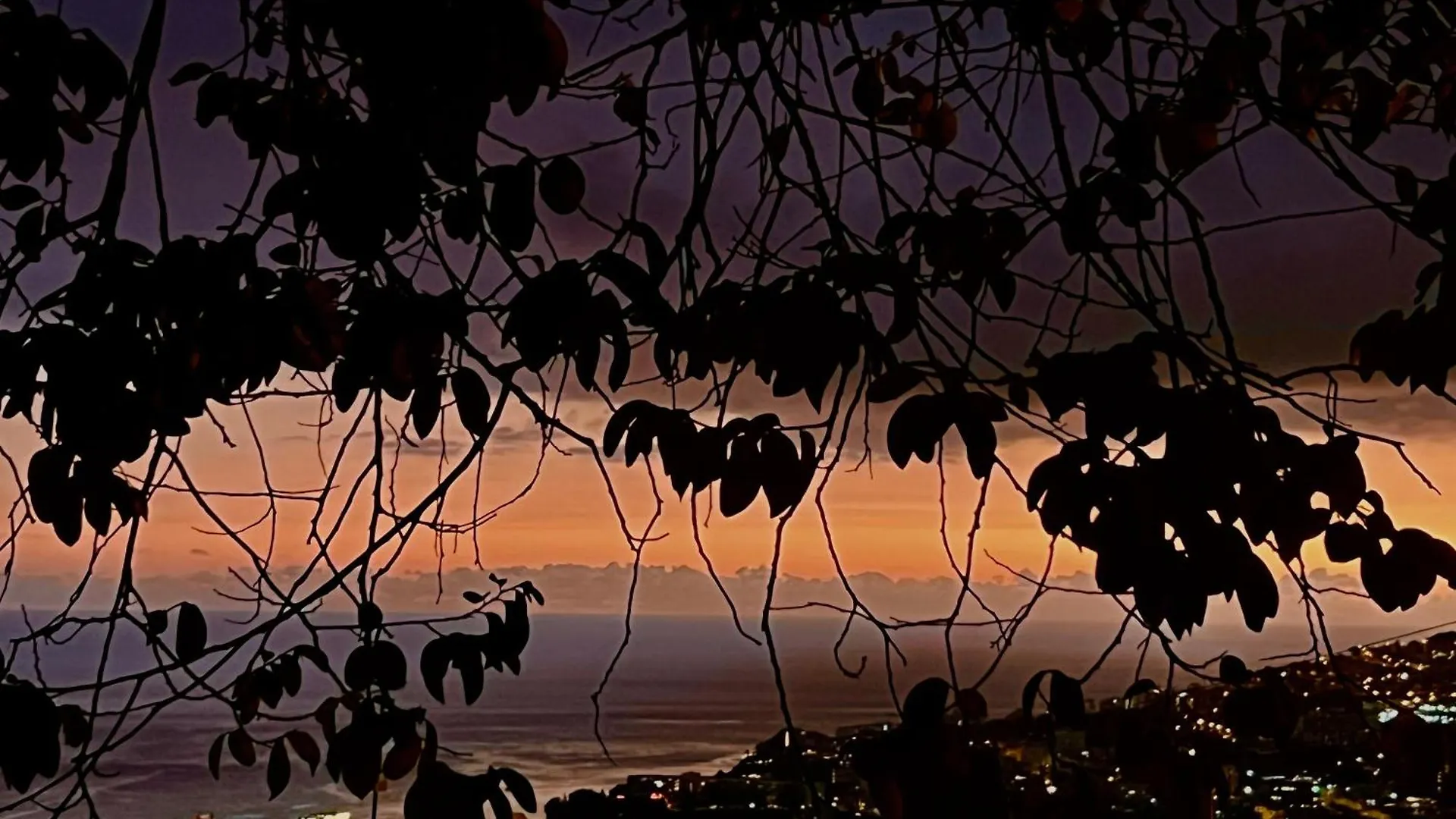 Casa Das Flores Funchal ホームステイ