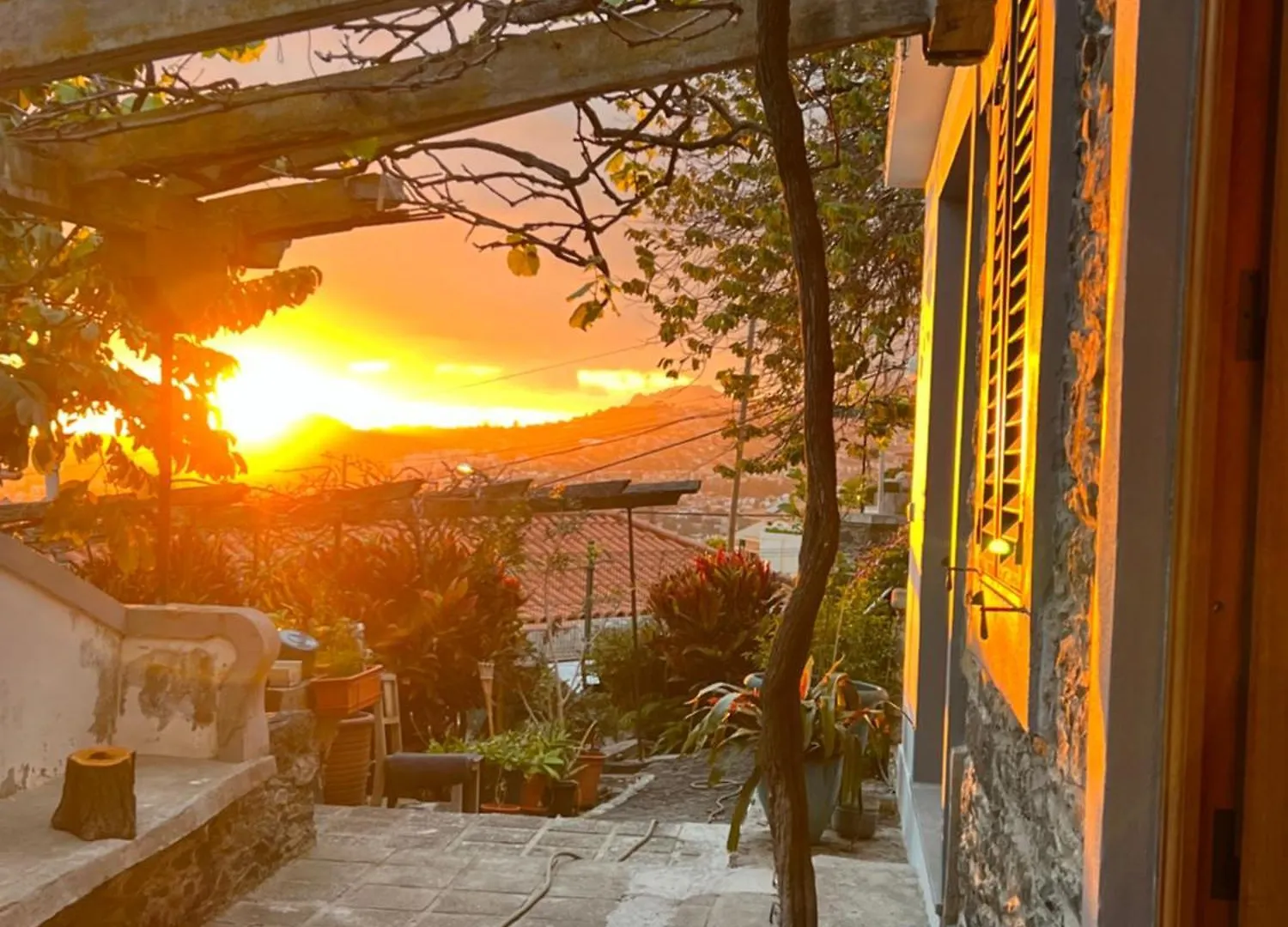 Casa Das Flores Funchal ホームステイ